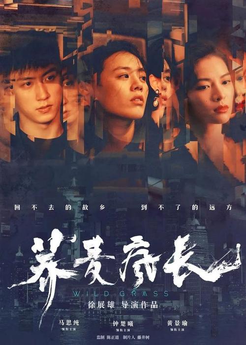 办理假资格证